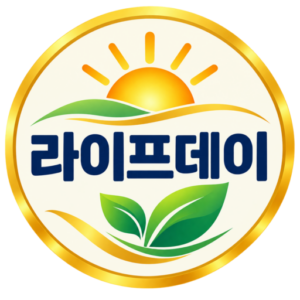 라이프데이